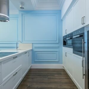 Sleek modern kitchen featuring white cabinetry, blue accent wall, and stainless appliances.